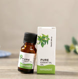 Hopeful Blossoms Dress in Olive Hopeful Blossoms Dress in Olive